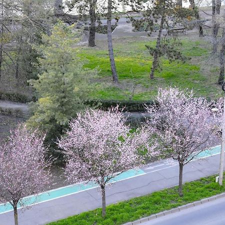 Riverside 1 Temeşvar Dış mekan fotoğraf