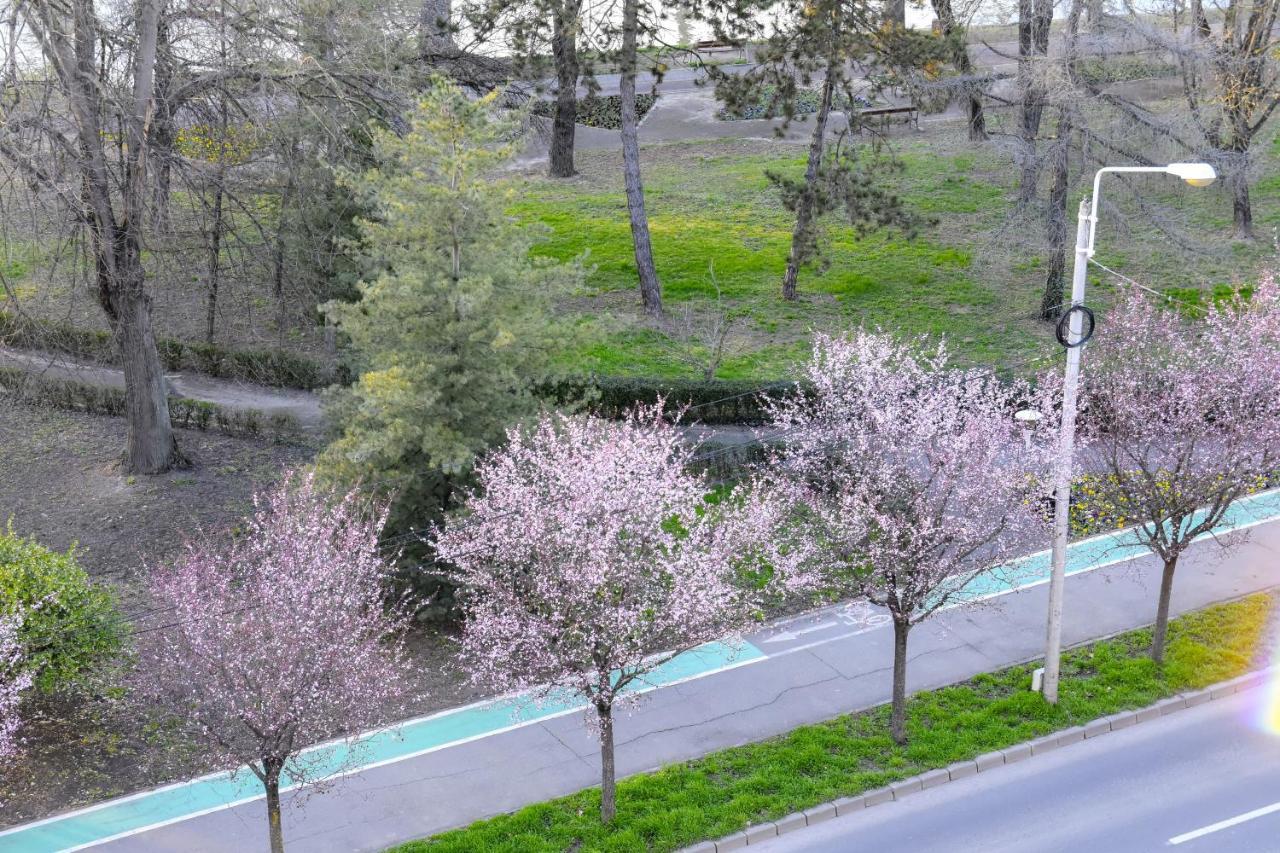 Riverside 1 Temeşvar Dış mekan fotoğraf